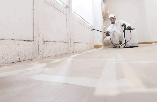 Black mold remediation team in Baldwin